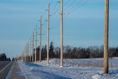 Row of utility poles beside a snowy road in Elgin, MN, illustrating winter's calm landscape.